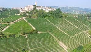 Winery, Italian wine, Italy Travel