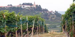 Italian Wine, Italy travel